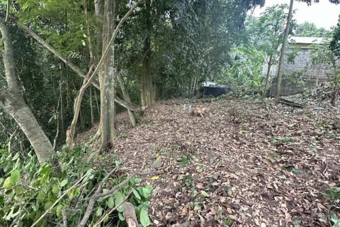 1204m2 Land in Tabanan, Bali (9290) 13