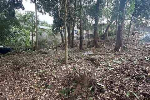 1204m2 Land in Tabanan, Bali (9290) 12
