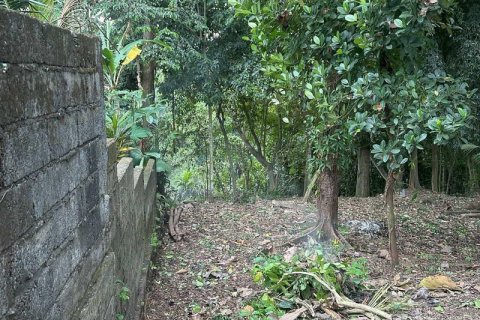 1204m2 Land in Tabanan, Bali (9290) 14