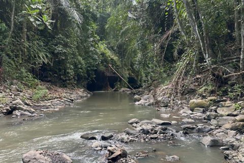 1204m2 Land in Tabanan, Bali (9290) 20