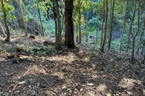 1204m2 Land in Tabanan, Bali (9290) 7