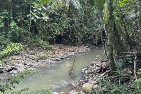 1204m2 Land in Tabanan, Bali (9290) 21