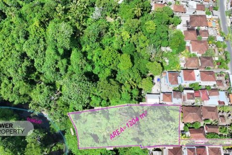 1204m2 Land in Tabanan, Bali (9290) 2