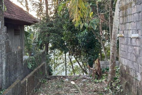 1204m2 Land in Tabanan, Bali (9290) 3
