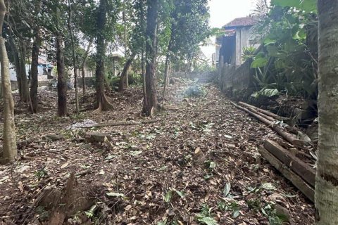 1204m2 Land in Tabanan, Bali (9290) 11