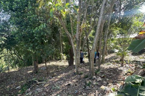 1204m2 Land in Tabanan, Bali (9290) 9