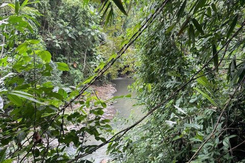 1204m2 Land in Tabanan, Bali (9290) 16