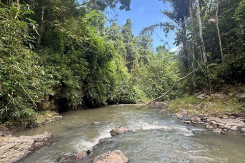 1204m2 Land in Tabanan, Bali (9290) 19