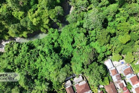 1204m2 Land in Tabanan, Bali (9290) 22