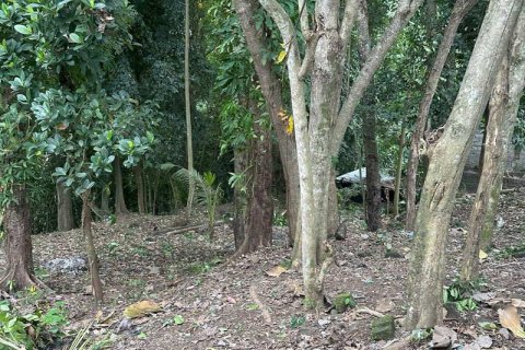 1204m2 Land in Tabanan, Bali (9290) 15