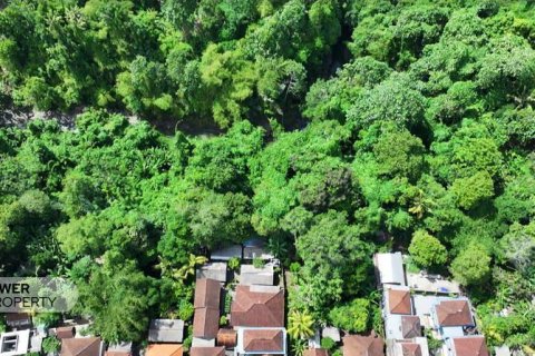 1204m2 Land in Tabanan, Bali (9290) 23