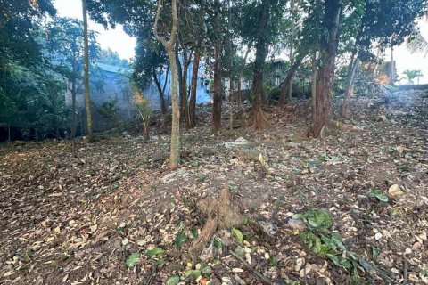 1204m2 Land in Tabanan, Bali (9290) 5