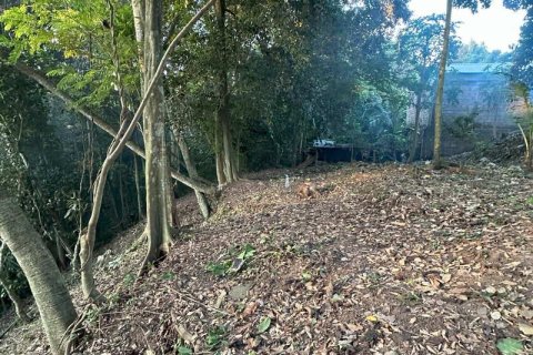 1204m2 Land in Tabanan, Bali (9290) 6
