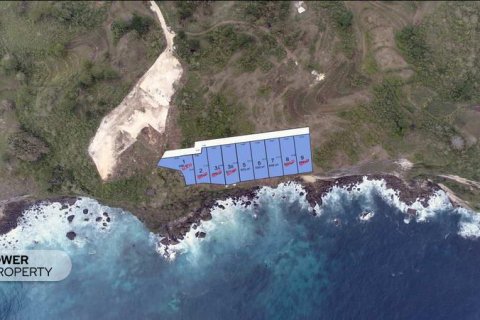 650m2 Land in Nusa Penida, Klungkung, Bali (9292) 4