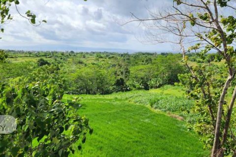 500m2 Land in Gianyar, Bali (5176) 6