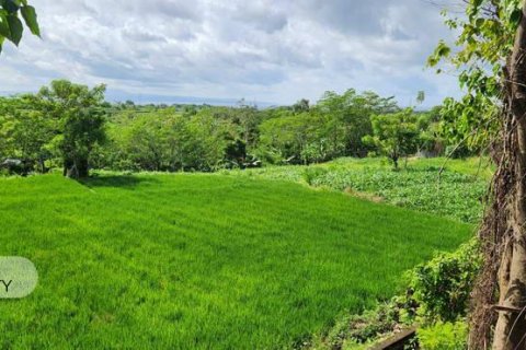 500m2 Land in Gianyar, Bali (5176) 12