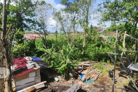 500m2 Land in Gianyar, Bali (5176) 13