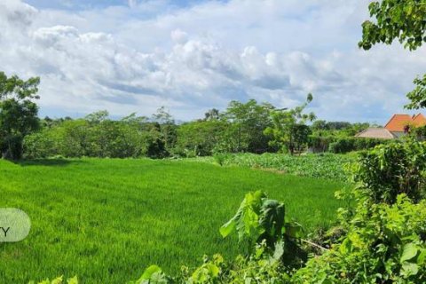 500m2 Land in Gianyar, Bali (5176) 2
