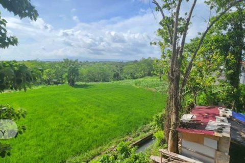 500m2 Land in Gianyar, Bali (5176) 14