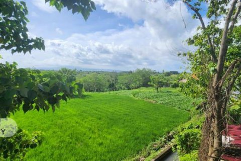500m2 Land in Gianyar, Bali (5176) 5