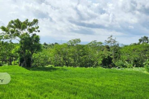 500m2 Land in Gianyar, Bali (5176) 11