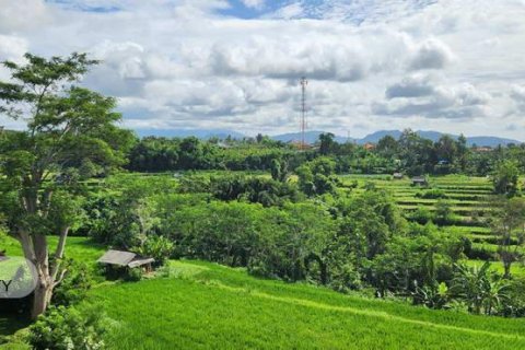 500m2 Land in Gianyar, Bali (5176) 9