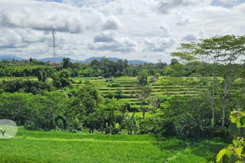 500m2 Land in Gianyar, Bali (5176) 10