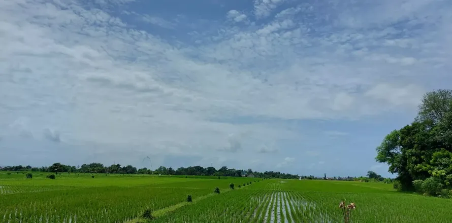 Land in Kediri, Tabanan, Bali (14023)