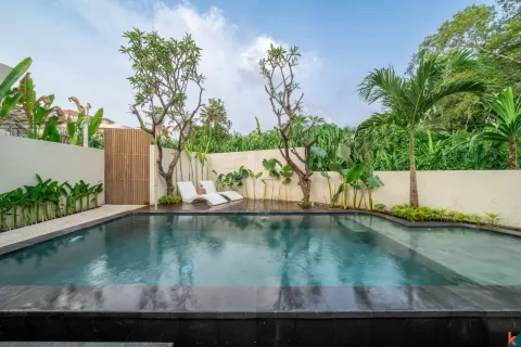 1 bedroom Villa in Canggu, Badung, Bali (11676) 22